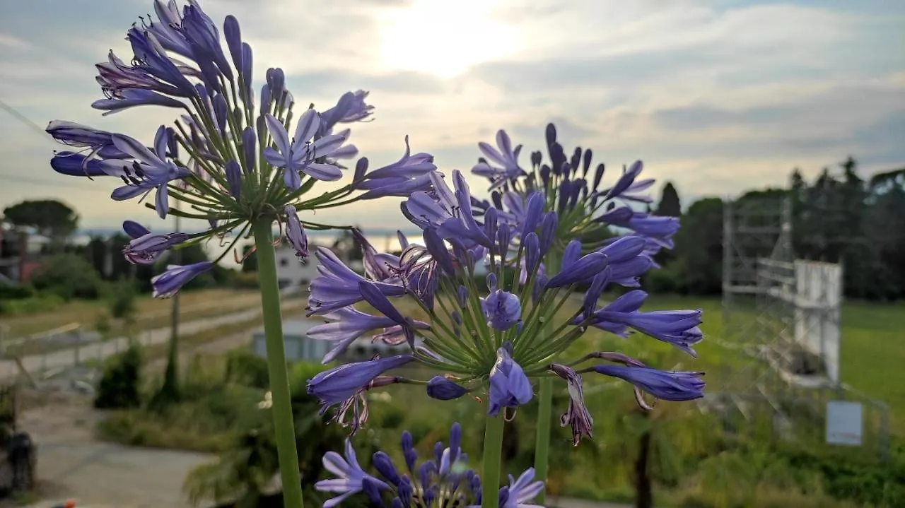 Villa Agapanto Pacengo Di Lazise 0*,  Italien